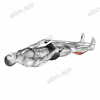 Calf Stretch with Rope exercise targeting Calves and Gastrocnemius