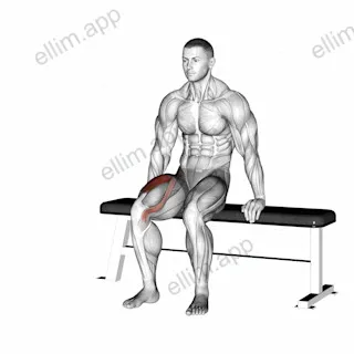 Chair Leg Extended Stretch exercise targeting Thighs