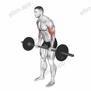 Cheat Curl exercise targeting Upper Arms