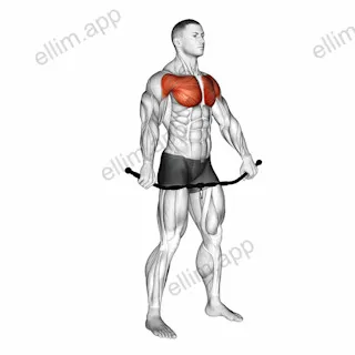 Chest and Front of Shoulder Stretch exercise targeting Chest and Deltoid Anterior