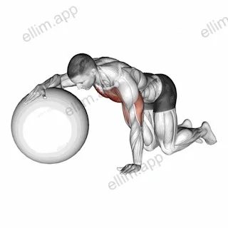 Chest Stretch with Exercise Ball exercise targeting Chest and Pectoralis Major Sternal Head