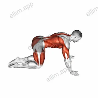 Child to Cobra Pose exercise targeting Stretching