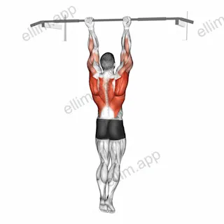 Chin-Up Around the Bar exercise targeting Back