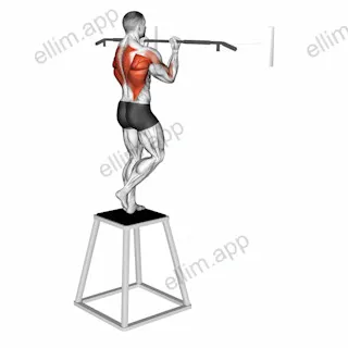 Chin up (izometric and negative) exercise targeting Back