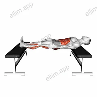 Chinese Plank exercise targeting Waist