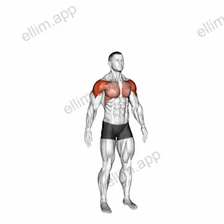 Circles Arm exercise targeting Shoulders and Deltoid Anterior