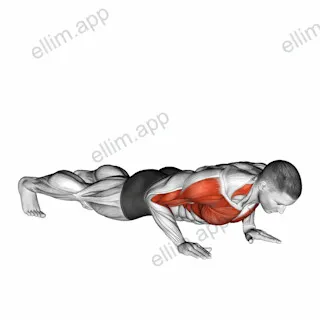 Clap Push Up exercise targeting Plyometrics