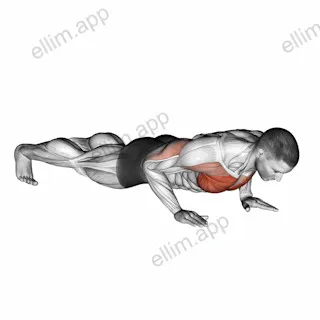 Clock Push Up exercise targeting Chest
