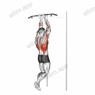 Close Grip Chin Up exercise targeting Back