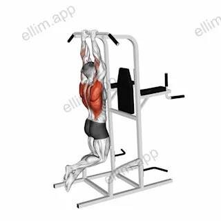 Close Grip Pull-Up exercise targeting Back