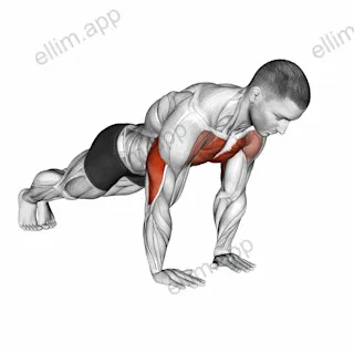 Close Grip Push up exercise targeting Upper Arms