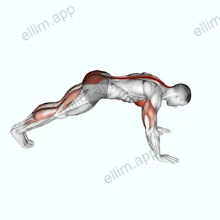 Cobra Push up exercise targeting Chest and Hips