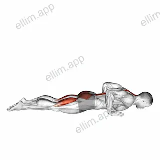 Cobra Yoga Pose exercise targeting Waist and Rectus Abdominis