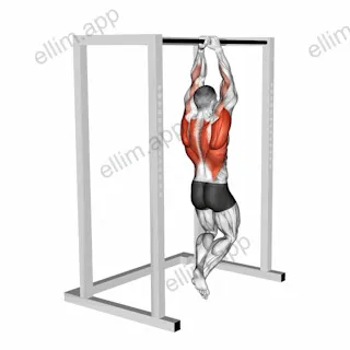 Commando Pull up exercise targeting Back and Waist