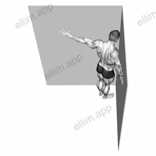 Coner Wall Chest Stretch exercise targeting Chest