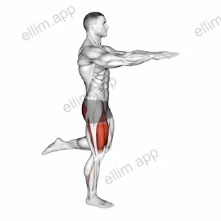Counterbalanced Skater Squat exercise targeting Thighs and Gluteus Maximus
