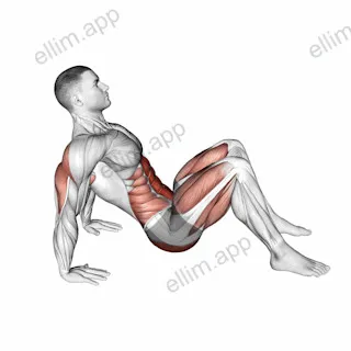 Crab Pose exercise targeting Stretching
