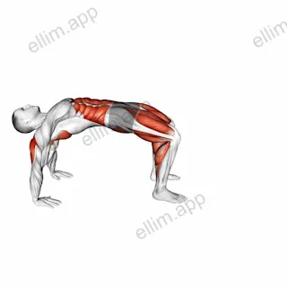 Crab Walk exercise targeting Plyometrics