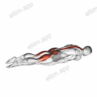 Crocodile Yoga Pose exercise targeting Stretching