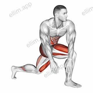 Crossover Kneeling Hip Flexor Stretch exercise targeting Hips and Gluteus Maximus