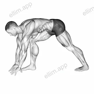 Crouching Heel Back Calf Stretch exercise targeting Calves