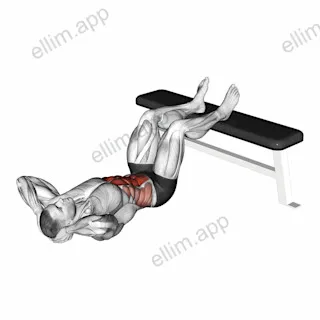 Crunch Hold exercise targeting Waist and Rectus Abdominis