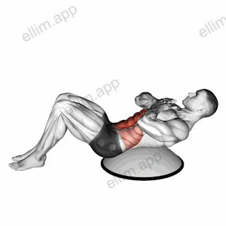 Crunch (on bosu ball) exercise targeting Waist and Rectus Abdominis