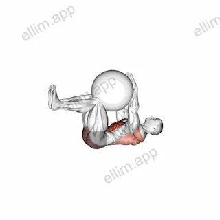 Dead Bug with Stability Ball exercise targeting Waist