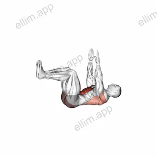 Dead Bug exercise targeting Waist and Rectus Abdominis