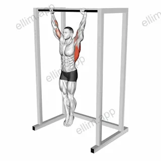 Dead Hang Stretch exercise targeting Stretching and Infraspinatus