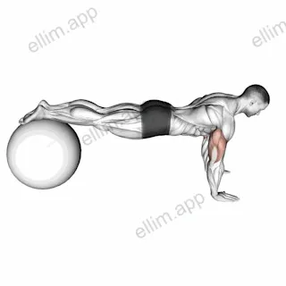 Decline Push up (on stability ball) exercise targeting Chest