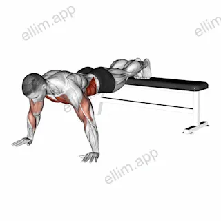 Decline Shoulder Tap exercise targeting Chest and Obliques