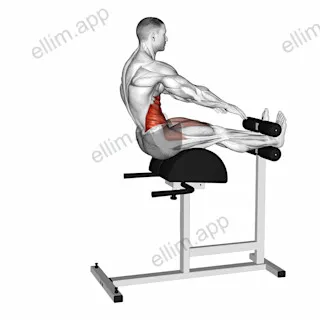 Decline Sit-up and Russian Twist exercise targeting Waist