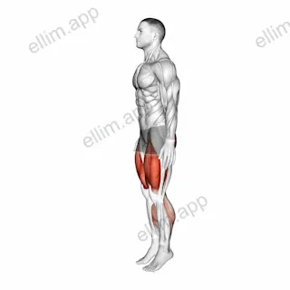 Deep Knee Bend exercise targeting Thighs