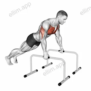 Deep Push-up on Parallel Bars exercise targeting Chest and Pectoralis Major Clavicular Head