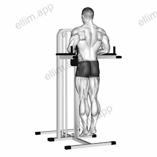Depression In Parallel Bars Stretch exercise targeting Back