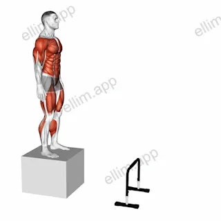 Depth Jump to Hurdle Hop exercise targeting Plyometrics