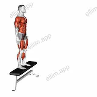 Depth Jump exercise targeting Plyometrics