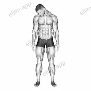 Diagonal Flexion Neck Stretch exercise targeting Neck