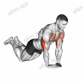 Diamond Push up (on knees) exercise targeting Upper Arms