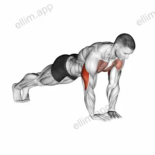 Diamond Push up exercise targeting Upper Arms