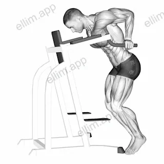 Dip Hold exercise targeting Chest