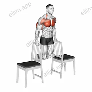 Dips between Chairs exercise targeting Pectoralis Major Sternal Head and Triceps Brachii