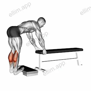Donkey Calf Raise exercise targeting Calves and Gastrocnemius