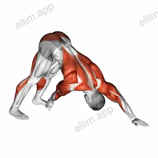 Downward Facing Dog Toe Touch exercise targeting Back and Hips
