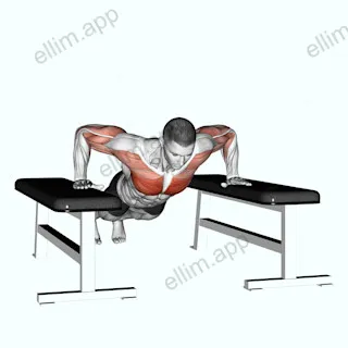 Drop Push Up exercise targeting Chest and Pectoralis Major Sternal Head
