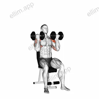 Dumbbell Alternate Arnold Press exercise targeting Shoulders