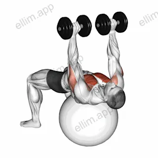 Dumbbell Alternate Chest Press on Stability Ball exercise targeting Chest