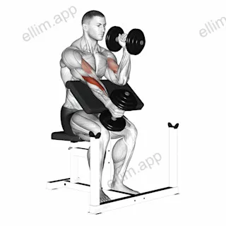 Dumbbell Alternate Hammer Preacher Curl exercise targeting Upper Arms