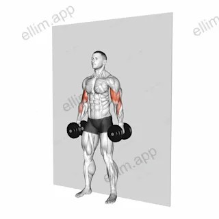 Dumbbell Alternate Hammer Srtict Curl exercise targeting Upper Arms